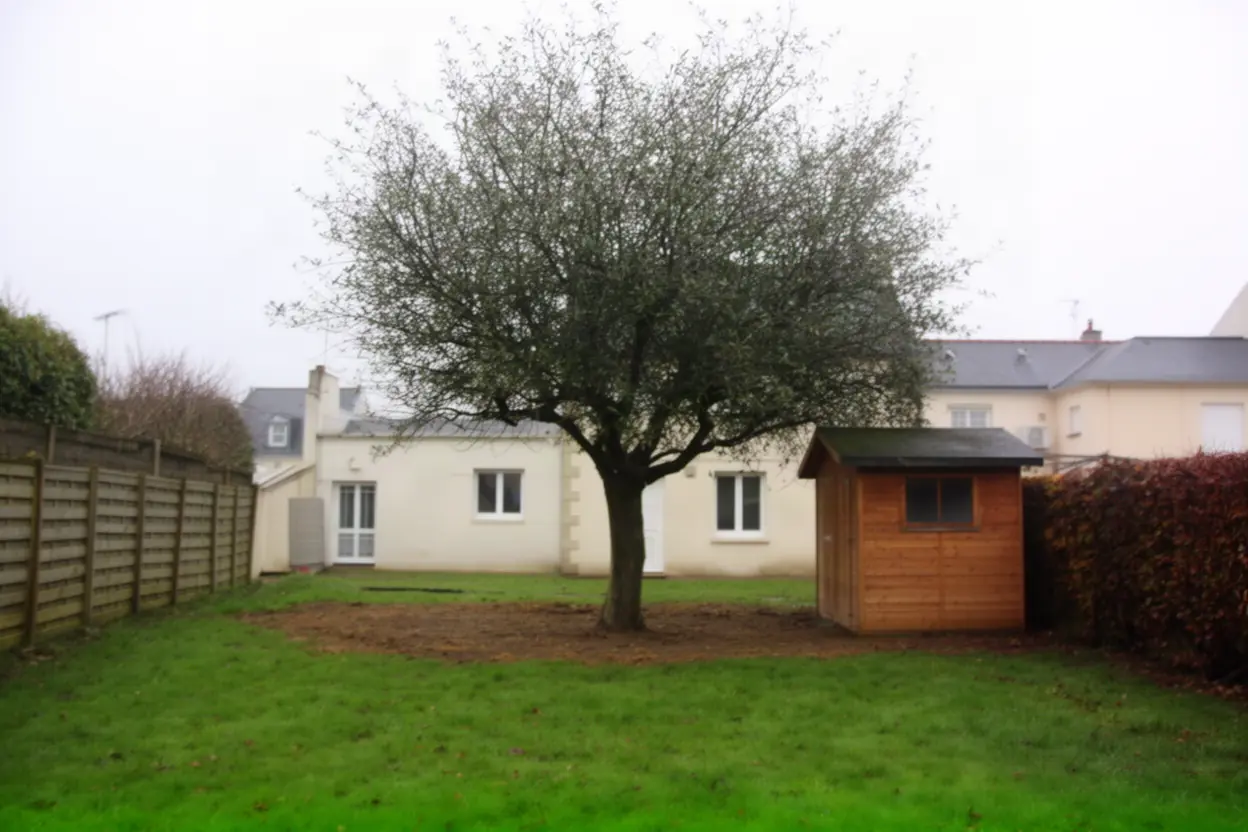 Arbre dépérissant près d'une clôture à Cherbourg