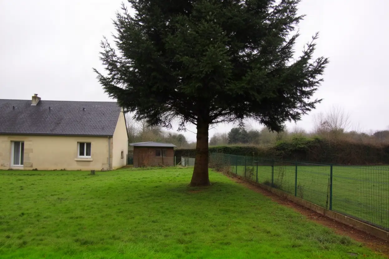 Arbre proche d’une clôture avant abattage à Digosville