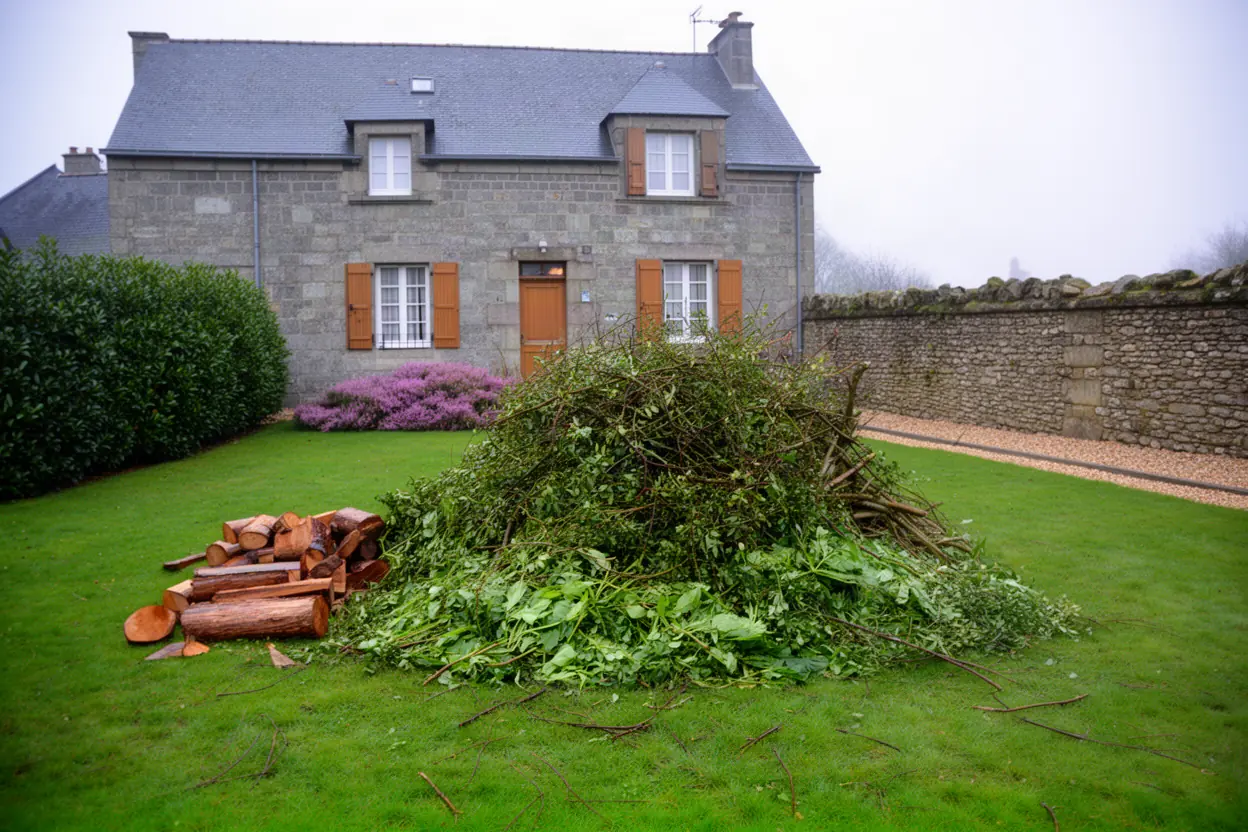 Branchages issus d'une taille réunis avant évacuation à Valognes