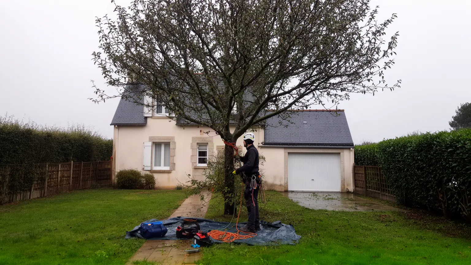 Élagueur professionnel à Nouainville et alentours
